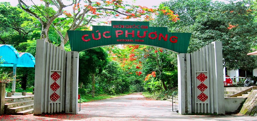 Hanoi Motorbike Tour To Cuc Phuong National Park For 1 Day